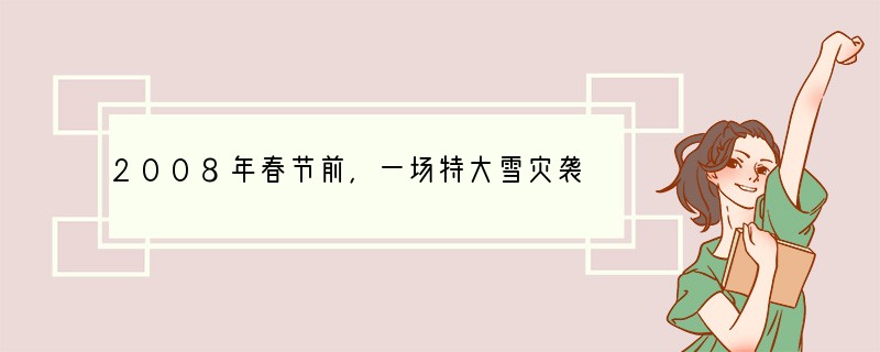 2008年春节前，一场特大雪灾袭击了大半个中国。面对持续的雨雪冰冻严重影响铁路春运、