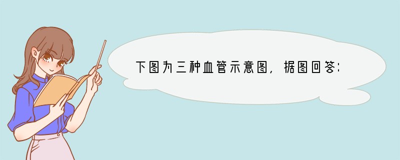 下图为三种血管示意图，据图回答：（1）输液时，医生用橡皮筋扎住人的上臂，人的手臂上暴