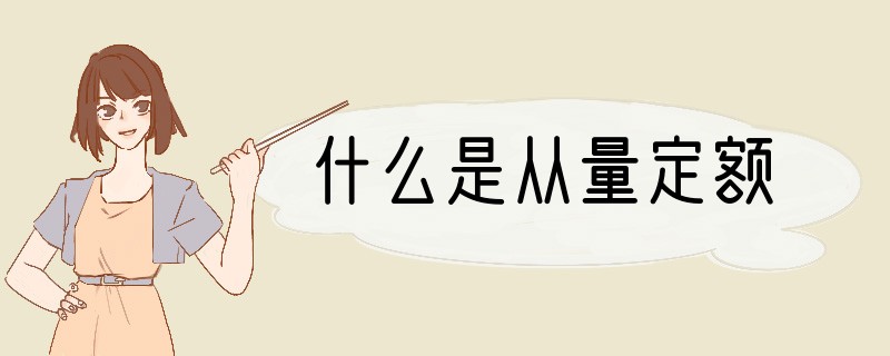 什么是从量定额