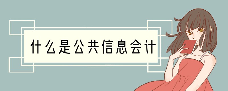 什么是公共信息会计