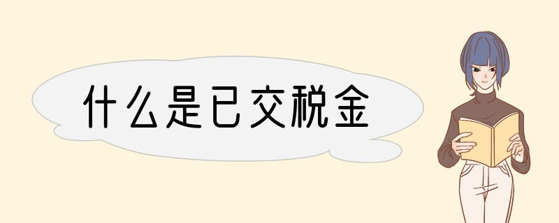 什么是已交税金