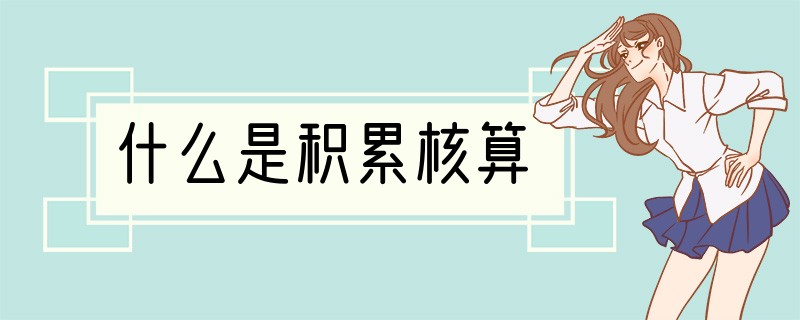 什么是积累核算