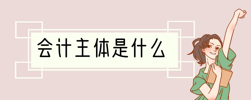 会计主体是什么