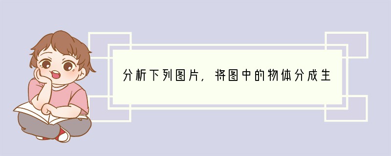 分析下列图片，将图中的物体分成生物和非生物两类，并说明你的理由。（1）图中的生物有。