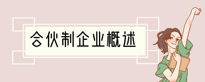 合伙制企业概述