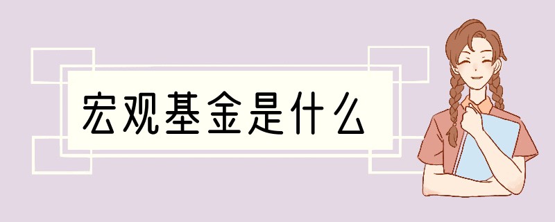宏观基金是什么