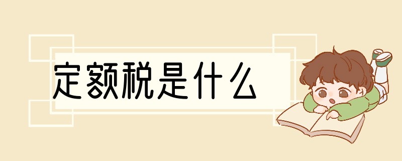 定额税是什么