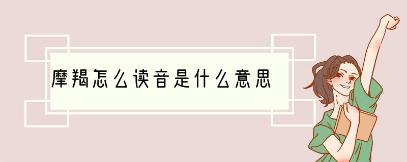 摩羯怎么读音是什么意思