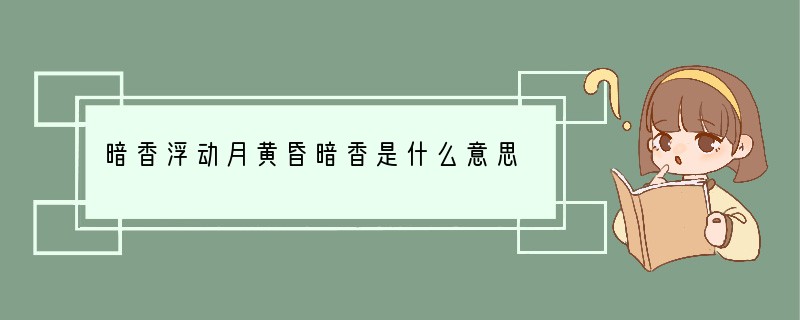 暗香浮动月黄昏暗香是什么意思