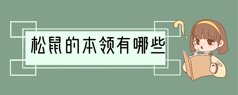 松鼠的本领有哪些