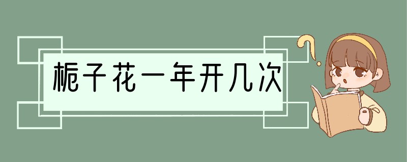栀子花一年开几次