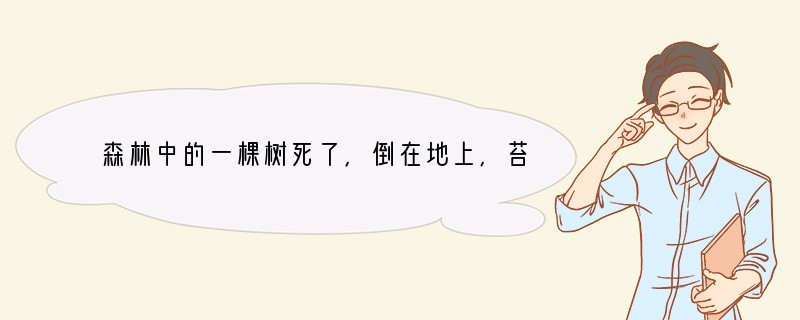 森林中的一棵树死了,倒在地上,苔藓、藻类、蘑菇、白蚁、蠕虫、蜘蛛和鼠均以这棵朽木为生