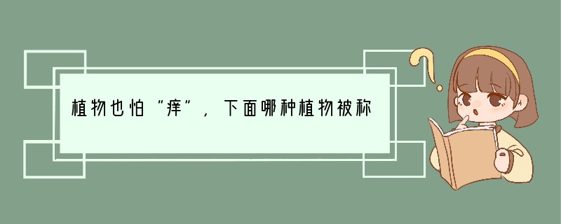 植物也怕“痒”,下面哪种植物被称为痒痒树