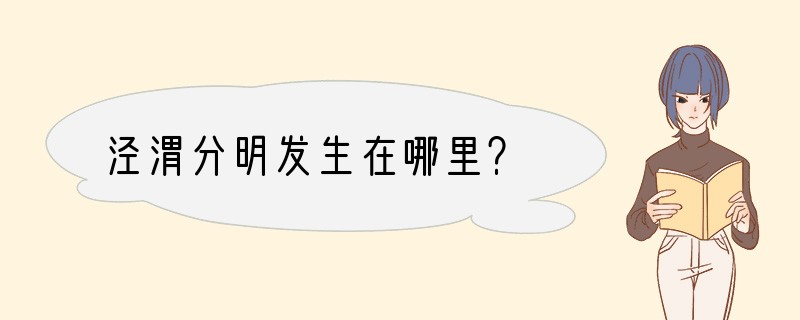 泾渭分明发生在哪里？