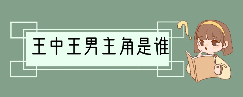 王中王男主角是谁