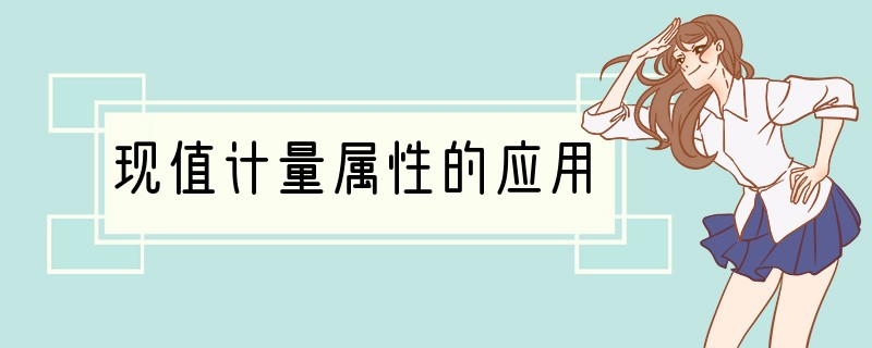 现值计量属性的应用