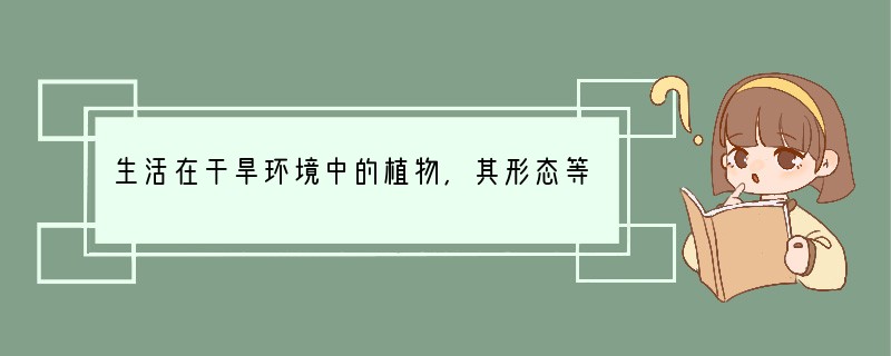 生活在干旱环境中的植物,其形态等方面会出现一系列的适应性特征,下列与干旱环境不相适应