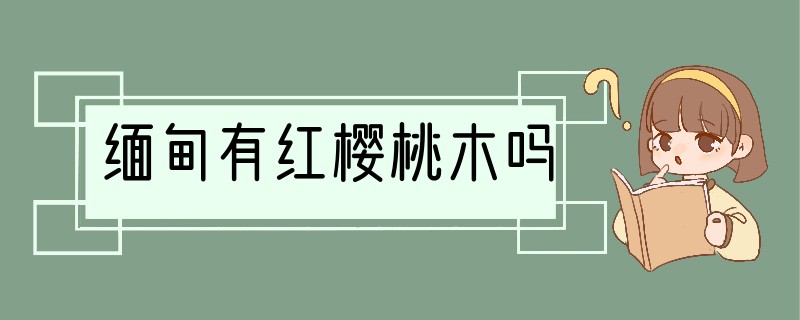 缅甸有红樱桃木吗