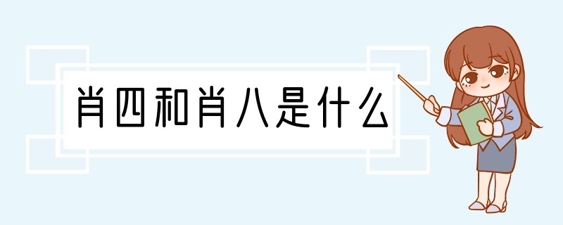 肖四和肖八是什么