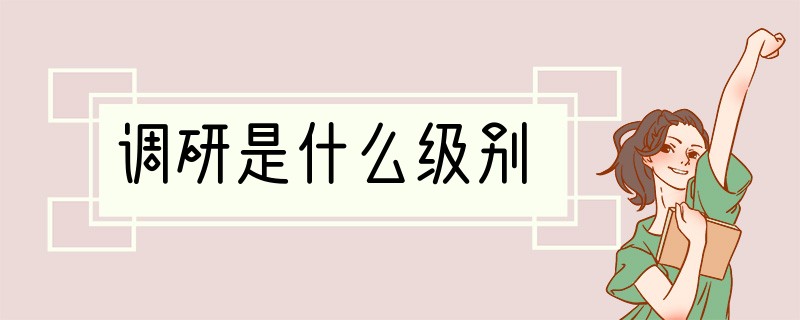 调研是什么级别