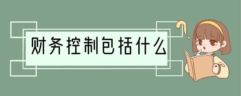 财务控制包括什么