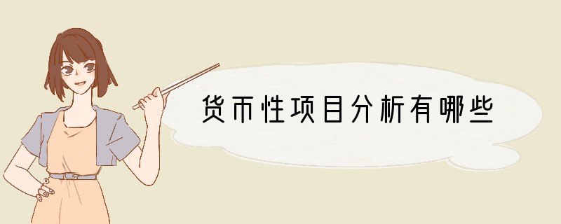 货币性项目分析有哪些