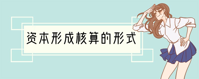 资本形成核算的形式