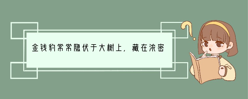 金钱豹常常隐伏于大树上,藏在浓密的叶荫之下.它身上有许多环状斑纹,很像古钱币.它身上