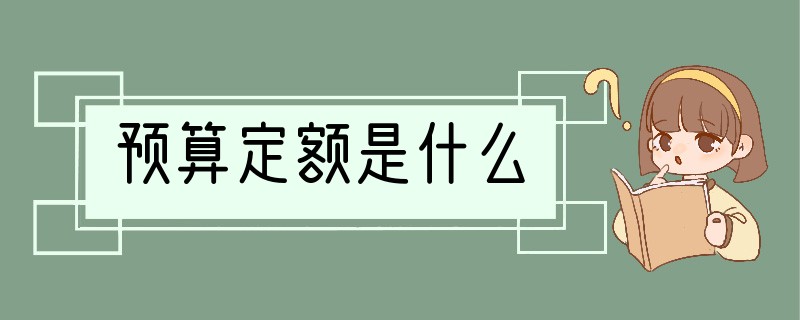 预算定额是什么