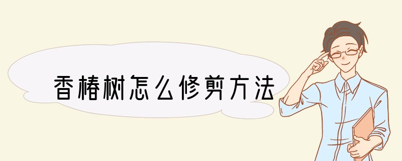 香椿树怎么修剪方法