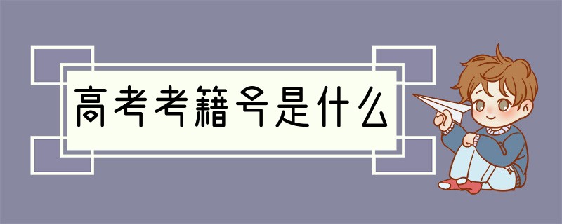 高考考籍号是什么